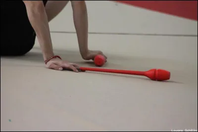 Comment appelle-t-on la surface sur laquelle évoluent les gymnastes ?