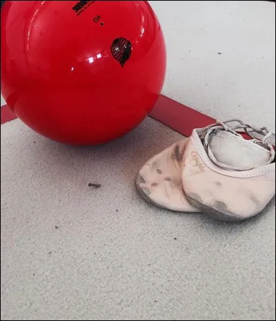 Quel est l'autre nom des demi-pointes ?