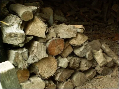 Le combustible bois est-il moins cher que les énergies fossiles ?
