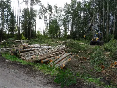 Quelle est la part de bois-énergie parmi les consommations finales d'énergies renouvelables en France (en 2017) ?