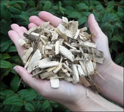 Quel est l'usage le plus important du bois-énergie ?