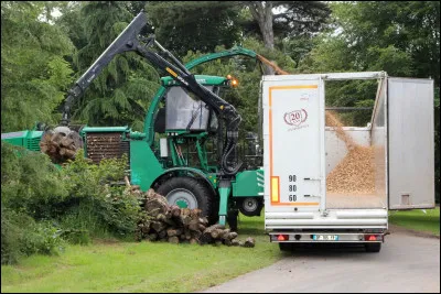 Avons-nous assez de forêts en France pour continuer à installer des chaufferies bois ?