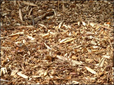 Quelle pollution issue de la combustion du bois impacte le plus la qualité de l'air ?