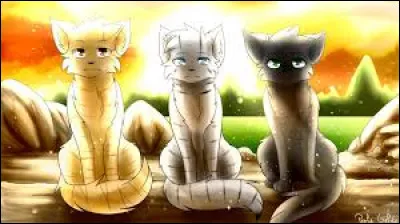 Qui sont les trois élus de la prophétie : 
"Ils seront trois, parents de tes parents à détenir le pouvoir des étoiles entre leurs pattes" ?