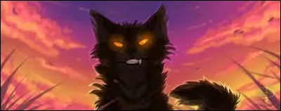 Pourquoi Nuage de Jais quitte-t-il le Clan du Tonnerre ?