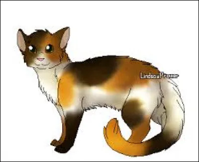 Qui est Pavot Gelé ?