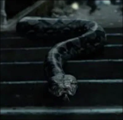 Comment s'appelle le serpent de Voldemort ? 
(Livre : tomes six et sept)