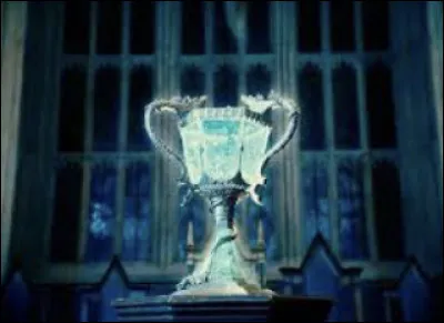 Dans le film "Harry Potter et la Coupe de feu" -
Qui sont les quatre participants ?