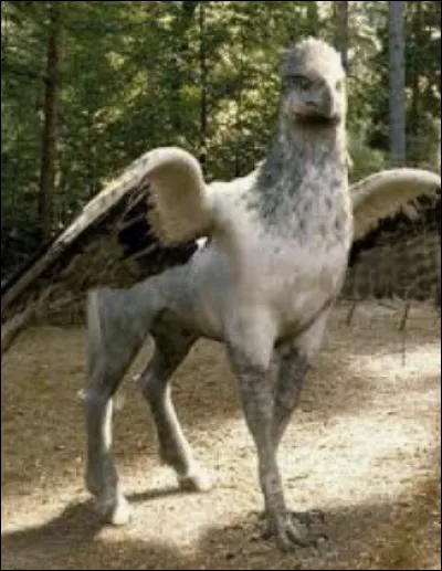 Dans le livre : tome cinq -
Comment ont-ils renommé Buck l'Hippogriffe ?