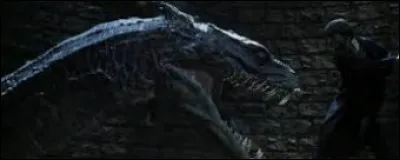 Dans le film : "La chambre des secrets" -
Où se trouve l'entrée de la chambre des secrets ?