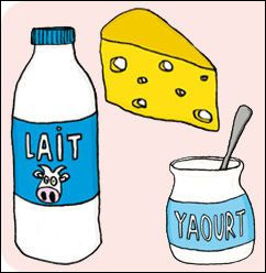 Les produits laitiers sont les aliments les plus riches en calcium :