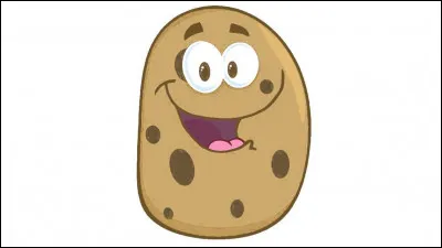 La pomme de terre est :