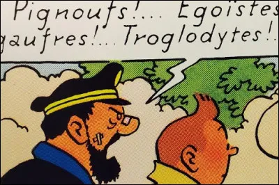 Quelle insulte n'est jamais dite par le capitaine Haddock ?