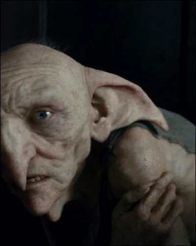 Comment s'appelle l'elfe de maison que poss&egrave;de Sirius Black ?