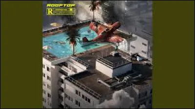 Avec lequel de ces hommes chante-t-il "Super Silver Haze" ?