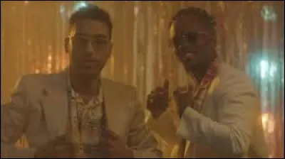 Il chante "Dans mon délire", aux côtés de :