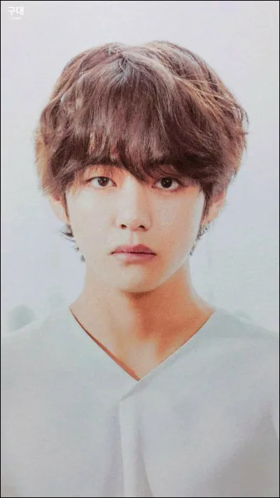 Quel est le vrai nom de V ?