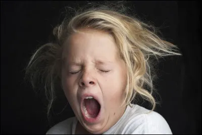 Bailler est contagieux pour...