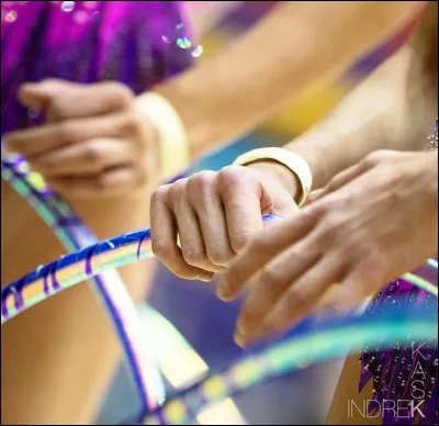 Parmi ces différentes marques, laquelle ne fabrique pas d'engin de GR ?