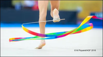 Quel est l'autre nom de la baguette du ruban ?