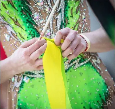 Quel engin n'est plus utilisé en individuel à l'international ?