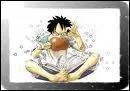Que dit toujours Luffy ?