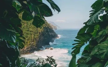 Quiz Test de personnalit�