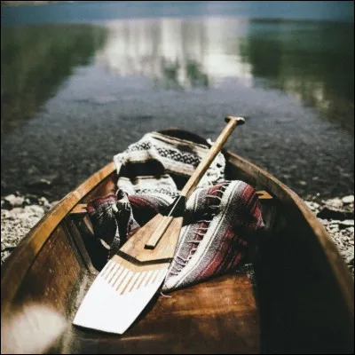 Sur les r&eacute;seaux sociaux, quelles vid&eacute;os vous apportent le plus de r&eacute;confort ?