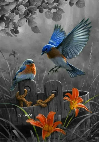 Lequel est un intrus parmi ces hélicoptères ?