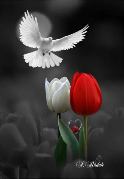 De qui Jean Christophe Grangé a-t-il écrit le vol, dans le titre de son livre ?