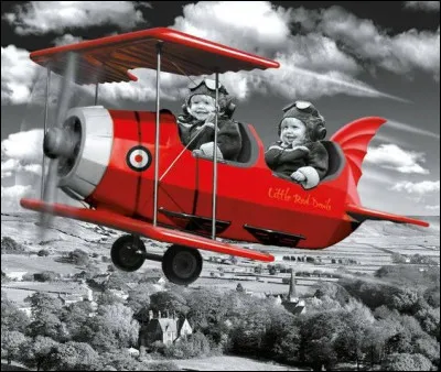 "Plane Crazy" est un dessin animé de Disney où un héros célèbre tente d'embrasser sa future fiancée pour la première fois à bord d'un avion. Qui sont-ils ?