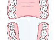 Quiz Quizz sur le brossage des dents - CM1 et CM2