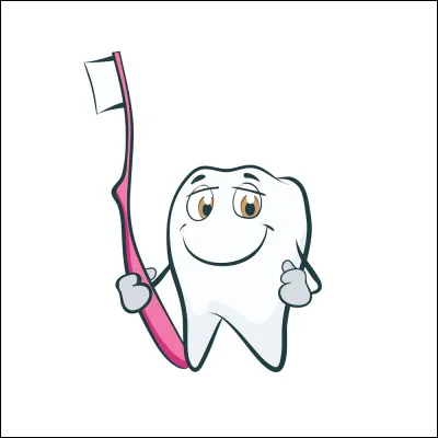 Comment bien se laver les dents ?