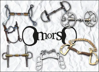 Comment s'appellent les parties du mors qui vont dans la bouche du cheval ?