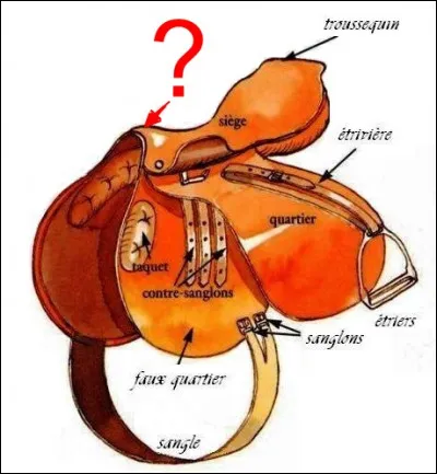 Comment s'appelle la partie de la selle désignée ?