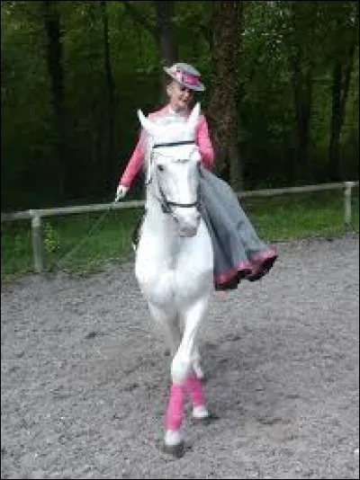 Quelles sont les aides artificielles ?