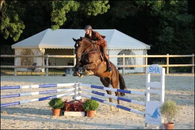 Quelle est cette discipline ?