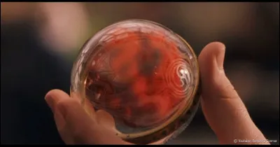 Le Rapeltout appartient à :