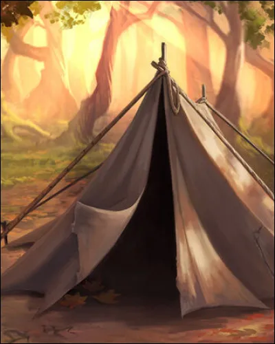 La tente pour la Coupe du Monde de quidditch et pour la recherche des horcruxes appartient à :