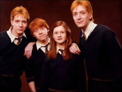 Dans quelle famille veux-tu être ?