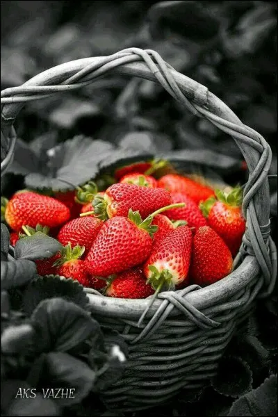 Retrouvez le film de Gérard Oury avec Pierre Arditi et Sabine Azéma !