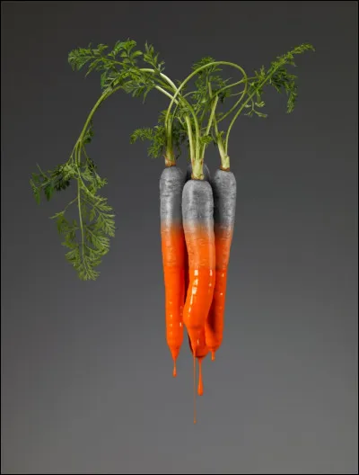 Qui a écrit "Poil de Carotte" ?