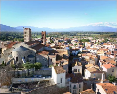 Petite ville de 9 000 habitants située dans la plaine du Roussillon à quelques kilomètres du littoral, ancienne ville épiscopale :