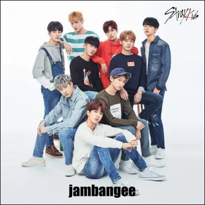 Quelle est l'agence des Stray Kids ?