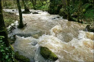 Qu'est-ce qu'une 'crue' ?