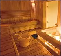 L'ingnieur sudois Per Vnstarg inventa en 1759 le tout premier sauna du monde.