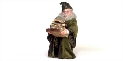 Qui enseigne les sortilèges à Poudlard dans les aventures d'Harry Potter ?