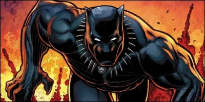 Quel super-héros est le roi du Wakanda ?