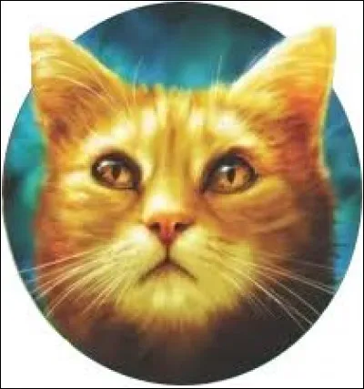 Quelle couleur de pelage préférez-vous ?