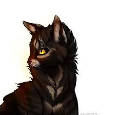 Quel est votre défaut ?